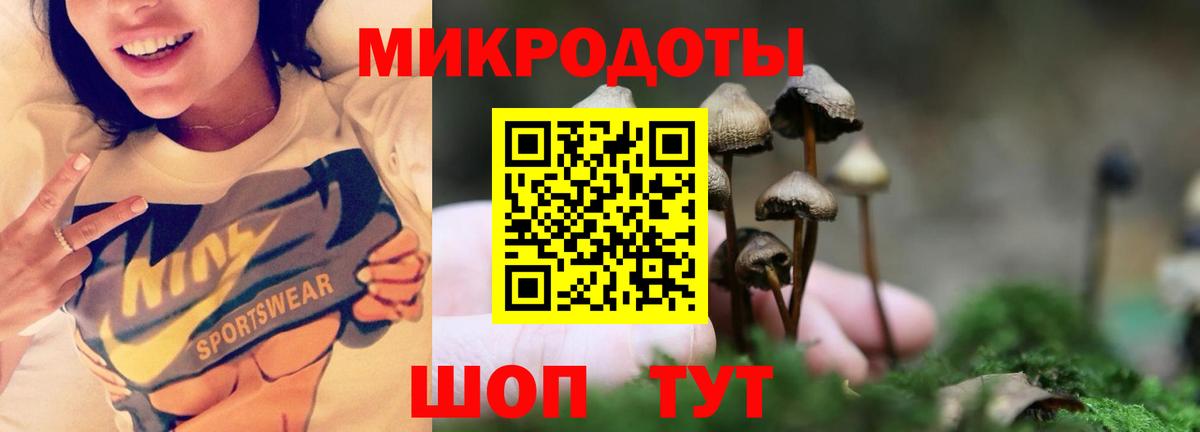 Карабулак  как найти наркотики  Вход с VPN  Галлюциногенные грибы ЛСД 